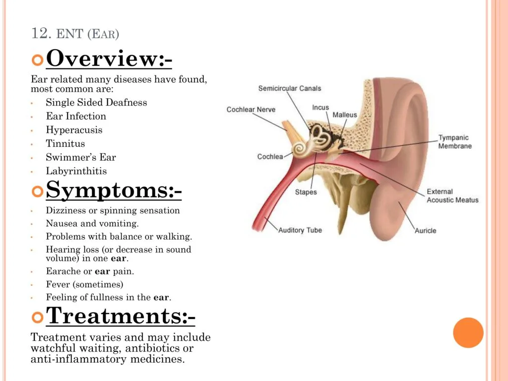 2 YEAR WAITING PERIOD DISEASES LIST IN HEALTH INSURANCE POLICY